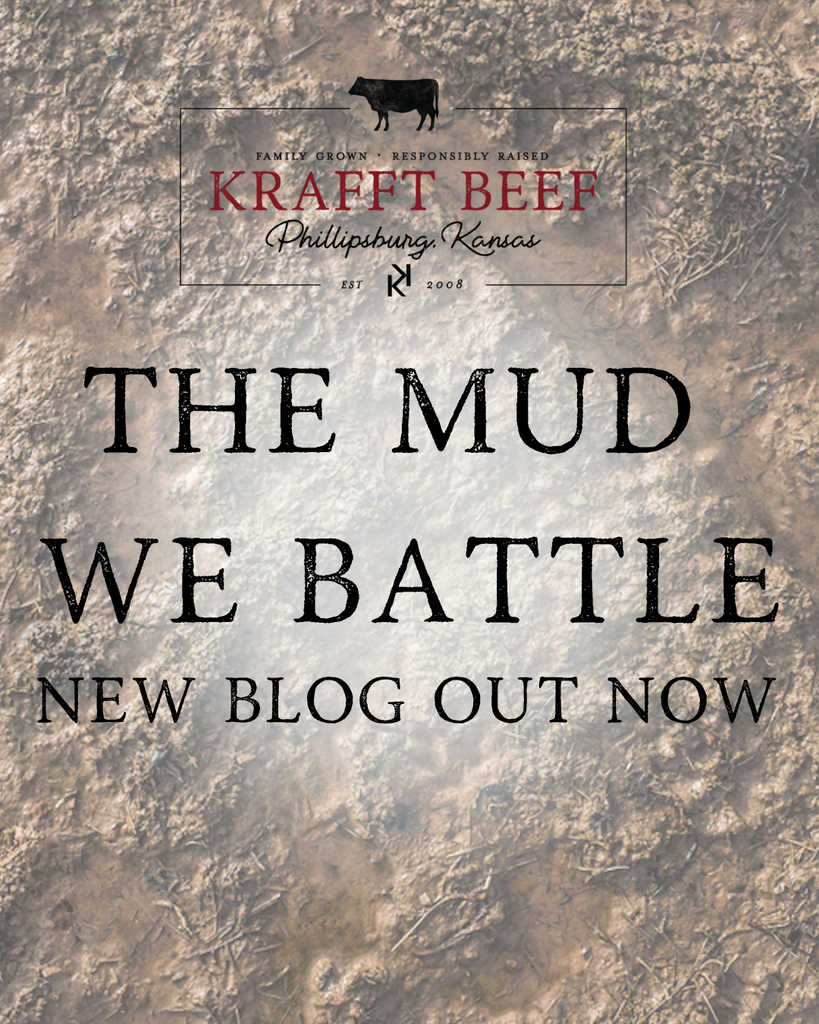 The Mud We Battle